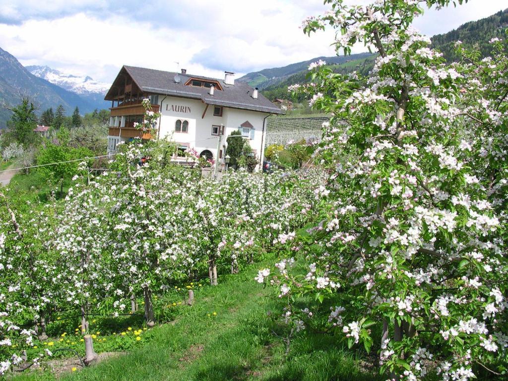 Pension Laurin Schenna Extérieur photo